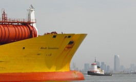 NYK and Stolt’s JV exercises parcel options in Japan
