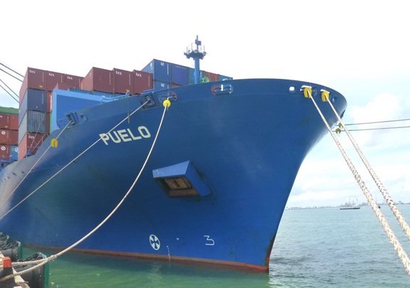 Diana seals charters for bulker and boxship pair