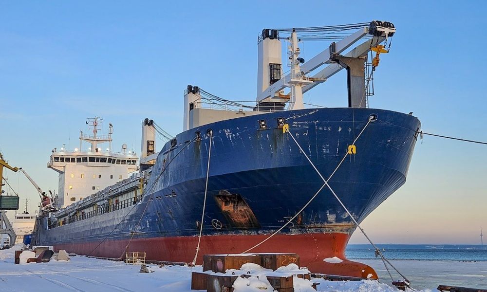 ESL plugs bulker capacity gap with secondhand buy ahead of newbuild arrivals