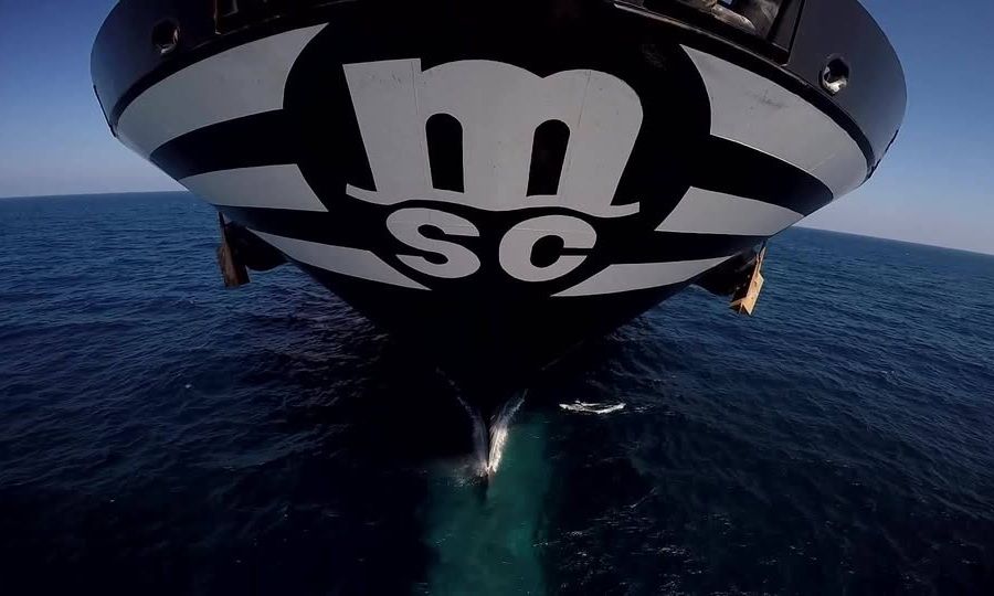 MSC strikes 45-year deal for Nigerian box terminal